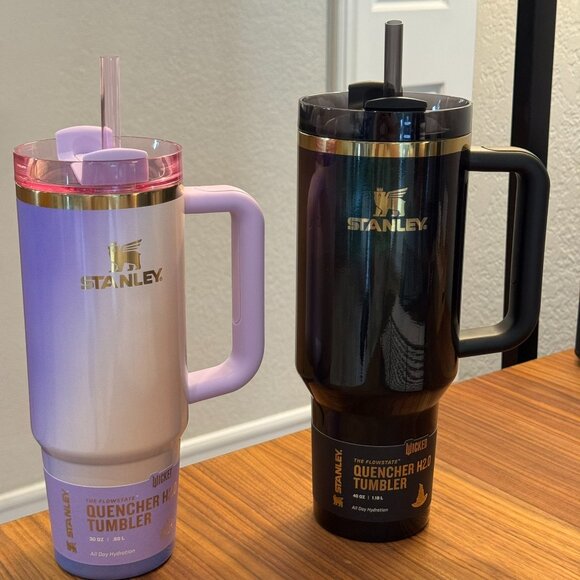 Stanley X Target Exclusive WICKED For Good 2025 40oz ELPHABA and 30 oz Glinda - Picture 2 of 16